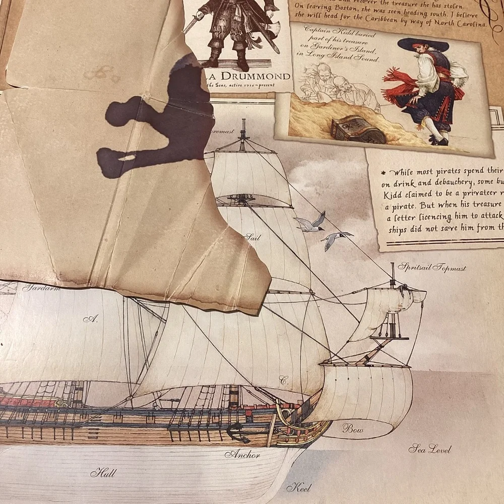 Pirateology Book